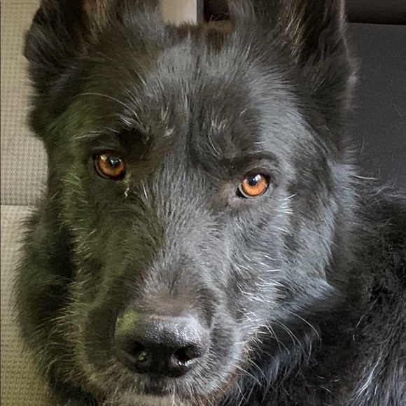 TOP Quality Items Only at Buy It Now Prices💃😎 - Picture 3 of 11